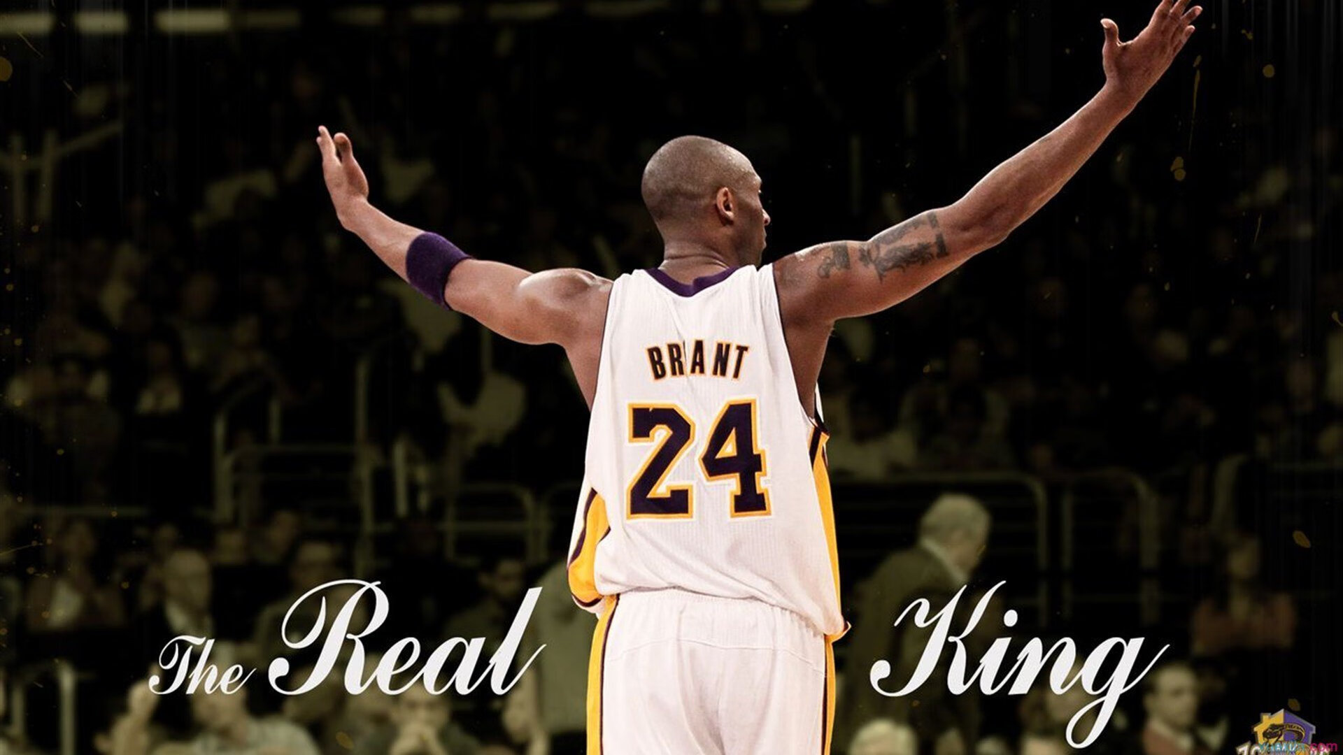 戈麦斯，总决赛夜的心脏起搏器